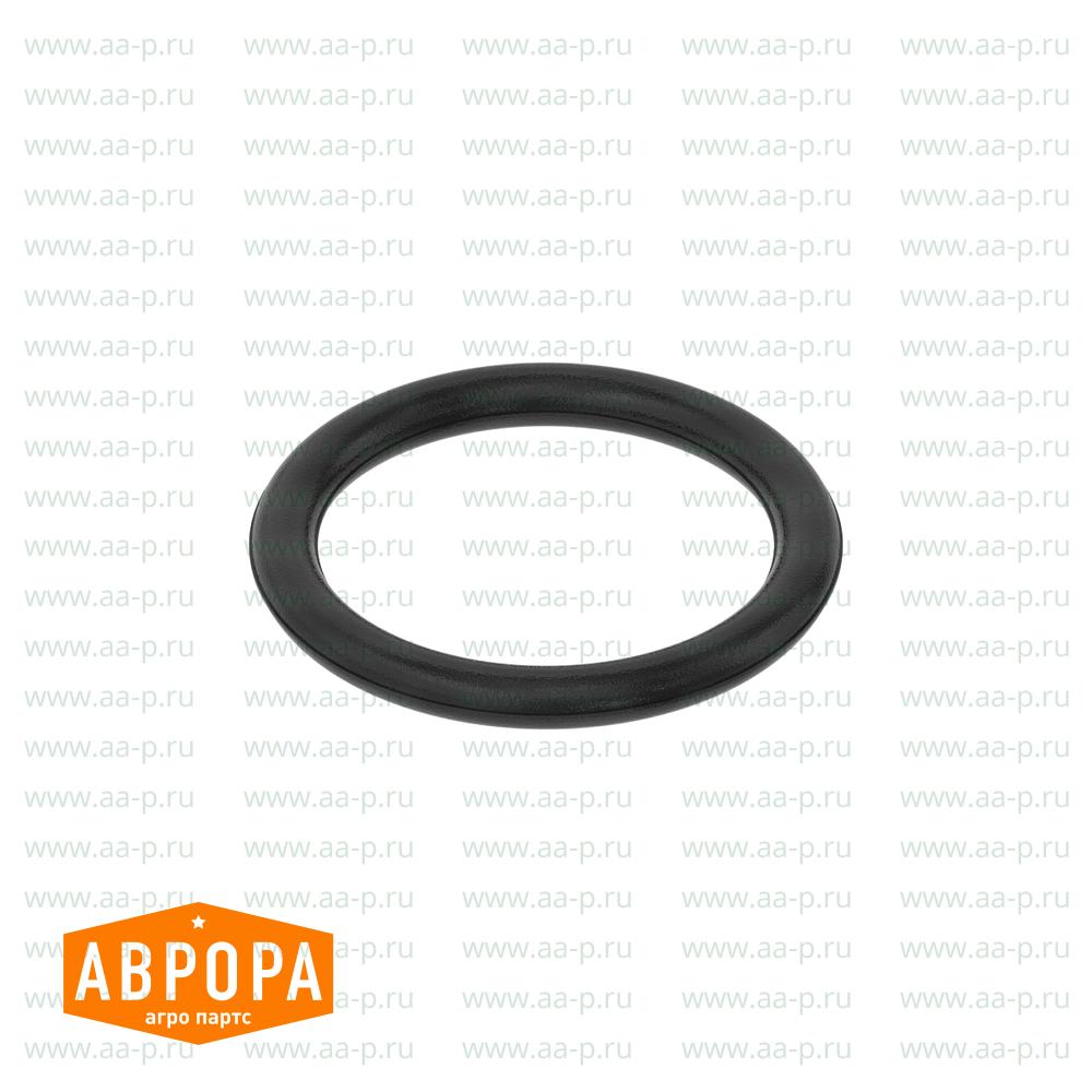 R79915 УПЛОТНИТЕЛЬНОЕ  КОЛЬЦО